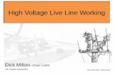 High Voltage Live Line Working - Energy Networks Association€¦ · High Voltage Live Line Working Dick Milton– Chair LLWG UK Power Networks ENA SHE 2013 - Manchester . High Voltage