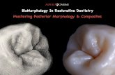 Mastering Posterior Morphology & Composites · Ciudad de Curitiba, Brasil. 2015 Creator of Biomorphology course based on drawing real anterior&posterior teeth and building the same