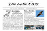 Winnebago Audubon Society - Kestrels, Sea Turtles, Birds & Beer #4 · 2017-01-13 · National Audubon Society, the Great Backyard Bird Count was the first online citizen-science project