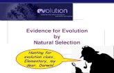 Evidence for Evolution by Natural SelectionSugar glider Spotted cuscus Numbat Marsupial mole Marsupial mouse Anteater Nocturnal insectivore Climber Glider Stalking Chasing predator