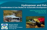 Hydropower and Fish · Importance of fish & hydropower in Alaska Potential impacts to fish Regulatory framework for fish habitat protection in Alaska Considerations & BMPs to avoid/minimize