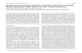 Development and mRNA€¦ · Biochem. J. (1994) 301, 893499 (Printed in Great Britain) Development and hormonal modulation of postnatal expression of intestinal alkaline phosphatase