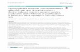 RESEARCH ARTICLE Open Accesss-space.snu.ac.kr/.../100539/1/12885_2016_Article_2499.pdf · 2019-04-29 · RESEARCH ARTICLE Open Access 5-lipoxygenase mediates docosahexaenoyl ethanolamide