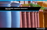 Bermuda captive insurers...3 1 Introduction Bermuda is the premier domicile for captive insurers. As at 31 December 2019, there were 715 companies licensed as captive insurers in Bermuda,