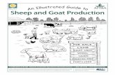 Sheep and Goat Production · Does and ewes should have a well-balanced udder with two functional teats. Avoid animals with really small or really large teats. Other udders to avoid: