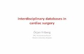05 Interdisciplinary databases in cardiac surgeryscansect.org/wp-content/uploads/2015/04/05-Interdisciplinary-datab… · Why databases in cardiac surgery • Standardized • Largevolumes
