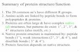 Summary of protein structure/functionfaculty.uscupstate.edu/rkrueger/CHEM 109 May 2015... · Structure re. to Function A. Protein structure has a massive effect on protein function.
