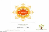 5 Vayus - Yogahealeryogahealer.com/wp-content/uploads/2013/01/lac-13-vayus.pdf · • shortness of breath • hypersensitivity • heart palpitations • anger • epilepsy • sleep