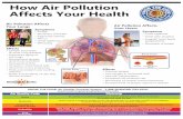 How Air Pollution Affects Your Health Quality/airaware... · • Shortness of breath • Aggravate asthma • Mucus • Chest tightness • Wheezing Symptoms • Chest tightness •