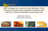IPM strategy for control of the Western Corn Rootworm ...€¦ · The product dianem® contains: Nematodes Symbiotic bacteria Heterorhabditis bacteriophora Photorhabdus luminescens.