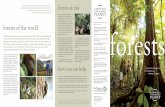 Forests are essential for forests · 2010-08-26 · forests at risk With a growing global population and rising demand for forest and agricul-tural products, the world’s forests—and