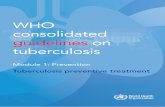 companion handbook consolidated guidelines on tuberculosis · Latent tuberculosis infection (LTBI) is defined as a state of persistent immune response to stimulation by M. tuberculosis