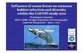 Influence of ocean fronts on cetacean habitat selection ...cetus.ucsd.edu/Publications/Dissertations/CamachoMAS_2010.pdf · CapstoneFinal_DCamacho [Compatibility Mode] Author: Greg