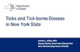 Ticks and Tick-borneDisease in New YorkState · Arthropod-borne Diseases • Diseases transmitted by mosquitoes, ticks,fleas, and otherinsects • Found worldwide • A total of 642,602