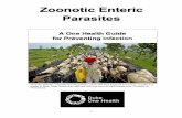 Nomadic Gadrias, originally from Rajasthan, travel with ......4 Acknowledgements The publication “Zoonotic Enteric Parasites: A One Health Guide for Preventing Infection” is the