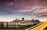 SUSTAINABILITY - Lion - FINAL.pdf · tonnes of glass reduction per year, 10% reduction in shrink film, 43% reduction in stretch wrap, and an additional 700 tonne reduction of HDPE.
