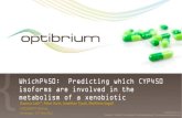 WhichP450: Predicting which CYP450 isoforms are involved ...€¦ · which P450 from a list of 7 isoforms 2D6, 2C8, 2C9, 1A2, 2E1, 2C19, 3A4 − Not a modelling exercise that predicts