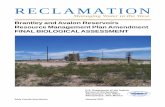 Revised Final BA January - Bureau of Reclamation · Revised Brantley and Avalon Reservoirs RMPA Final Biological Assessment January 2011 . ... The EA, however, is not the final review