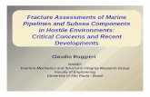 Fracture Assessments of Marine Pipelines and Subsea … · 2017-08-04 · Fracture Assessments of Marine Pipelines and Subsea Components in Hostile Environments: Critical Concerns