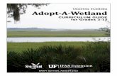 COASTAL FLORIDA Adopt-A-Wetland - Florida Sea Grant · by running your finger through the sand. The river will run from the mainland to the ocean. 3. Off the main deep river that