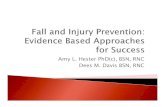 Amy L. Hester PhD(c), BSN, RNC Dees M. Davis BSN, RNChdnursing.com/wp...and-Injury-Prevention...24-2013.pdf · 4/24/2013  · CEO of HD Nursing, LLC which provides fall and injury