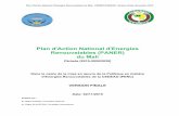 Plan d'Action National d'Energies Renouvelables (PANER) du Mali · 2019-12-20 · Scaling Up Renewable Energy Program in low income countries (Programme de valorisation à grande