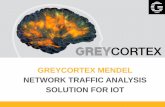 GREYCORTEX MENDEL NETWORK TRAFFIC …...IOT IS A NETWORK LIKE ANY OTHER The category is called “Internet of Things”- Designed to be inter-connected- Network goes far beyond the