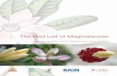 The Red List of Magnoliaceae - International Union for ... · Sara Oldfield, Secretary General of Botanic Gardens Conservation International (BGCI) ... helped source reference material