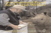 International Fund for Animal Welfare · the international fund for animal welfare works to improve the welfare of wild and domestic animals throughout the world by reducing commercial