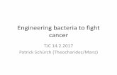 Engineering bacteria to fight cancer - UZH · 2017-03-30 · Bacteria were grown overnight with antibiotics and then subcultured without antibiotics (C+D). Persistance of lacZ plasmid
