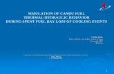 SIMULATION OF CANDU FUEL THERMAL-HYDRAULIC BEHAVIOR … · ELESTRES (Ref. /4.1/) is a fuel-performance computer code. It is used to predict the on-power behavior of a CANDU fuel element,