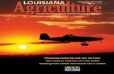 New ways to improve your rice yields - LSU AgCenter...Louisiana Agriculture, Winter 2009 1 Preventing herbicide drift can be tricky New ways to improve your rice yields Keeping both