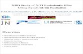 XRD Study of NiTi Endodontic Files Using Synchrotron Radiation · 2020-06-12 · XRD Study of NiTi Endodontic Files Using Synchrotron Radiation F.M. Braz Fernandes1, J.P. Oliveira2,