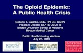 The Opioid Epidemic: A Public Health Crisis Opioid...DOCTORS IN OTHER PARTS OF THE COUNTRY Source: Boston Globe and Harvard T.H. Chan School of Public Health, Prescription Painkiller