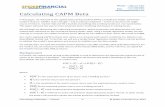 Calculating CAPM Beta - NumXL · Calculating CAPM Beta In this paper, we will look at the capital asset pricing model (CAPM), a simple but widely used factor model in finance. CAPM’s