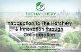 & Innovation through Collaboration Introduction To …...than 100 food industry entrepreneurs 55 private kitchens, shared kitchen space, dry/cold storage, loading docks, food truck