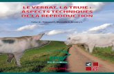 LE VERRAT, LA TRUIE : ASPECTS TECHNIQUES DE LA … · Thilmant Pierre, CIAP ... adéquat aux éleveurs de porcs, la Filière Porcine Wallonne (FPW) asbl publie le présent document