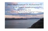 DNA Methylation in Alzheimer’s and Down syndrome · 2011-04-25 · Down Syndrome (trisomy 21) Cognitive disability Congenital heart defects Early‐onset Alzheimer’s disease (1.5X