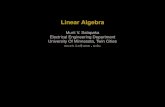 Linear Algebra - Electrical and Computer Engineeringpeople.ece.umn.edu/~murtis/teaching/EE8950/linearAlgebraNotes.pdf · Linear Algebra Murti V. Salapaka Electrical Engineering Department