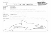 Name: Orca Whale...waters to16 feet (5 m) deep. Life Span: 6 months to 5 years Number of Young: Roughly 200,000 eggs Fun Factoid: The Octopus is a highly intelligent creature—In