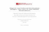 Organic and Induced Destination Images: The Case of Two ... · Images: The Case of Two MENA Destinations Bachelor Thesis for Obtaining the Degree Bachelor of Business Administration