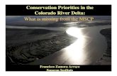 Conservation Priorities in the Colorado River Delta · hydrologic regime of the Colorado River. Restoration efforts in Mexico: what MSCP should consider Community-based restoration