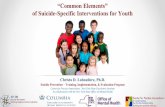 “Common Elements” of Suicide-Specific …...Suicide Risk in Youth Suicide is the 2nd leading cause of death for youth aged 10-24 in the US, killing over 6700 young people per year1
