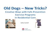 Old Dogs New Tricks? - Falls Prevention Networkfallsnetwork.neura.edu.au/wp-content/uploads/2014/02/...Old Dogs – New Tricks? Creative Ways with Falls Prevention Exercise Programs