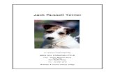 Jack Russell Terrier - Duckling's · 2020-05-29 · Jack Russell Terrier Page 2 JACK RUSSELL TERRIER LECTURE INTRODUCTION First and foremost students of the Jack Russell Terrier must