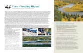 Free-Flowing Rivers - World Wildlife Fundassets.worldwildlife.org/publications/935/...Rivers... · Rivers are the world’s lifeblood, enabling people to fish and farm and build whole