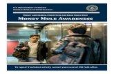 Money Mule Awareness - Jackson County · Money Mule Indicators. You may be a money mule if…. You received an unsolicited email or contact over social media promising easy money