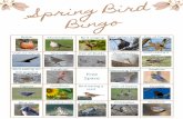 Spring Bird Bingo Letter Size - theraptortrust.org · Spring Bird Bingo Free Space Robin Mockingbird Bluebird Red-tailed Hawk Pair of Doves Vulture Flying Woodpecker Pair of Ducks
