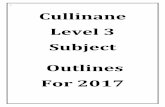 1 Cullinane Level 3 Subject Outlines For 2017c1940652.r52.cf0.rackcdn.com/...booklet-level-3v2.pdf · This course takes a student through the use of desktop publishing programs. They