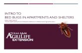 INTRO TO BED BUGS IN APARTMENTS AND …...TODAY’S PROGRAM Welcome Intro to bed bugs Myths about bed bugs Biology of bed bugs Health issues Avoiding bed bug transport Control options